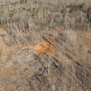 Photo #34 of Lot-B Lake Shore Drive & Lot-38B Oakwood Lane, Roxboro, NC 24.7 acres
