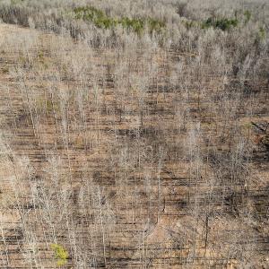 Photo #35 of Lot-B Lake Shore Drive & Lot-38B Oakwood Lane, Roxboro, NC 24.7 acres