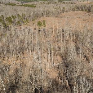 Photo #37 of Lot-B Lake Shore Drive & Lot-38B Oakwood Lane, Roxboro, NC 24.7 acres