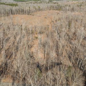Photo #38 of Lot-B Lake Shore Drive & Lot-38B Oakwood Lane, Roxboro, NC 24.7 acres