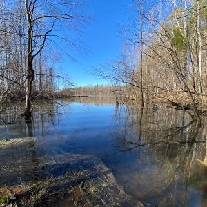 Photo #45 of Lot-B Lake Shore Drive & Lot-38B Oakwood Lane, Roxboro, NC 24.7 acres