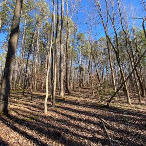 Photo #46 of Lot-B Lake Shore Drive & Lot-38B Oakwood Lane, Roxboro, NC 24.7 acres