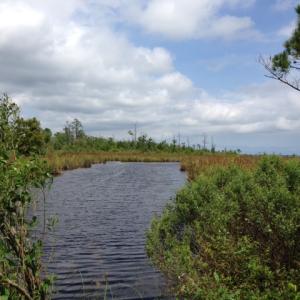 Photo #8 of SOLD property in Sailboat Rd, Shiloh, NC 441.0 acres