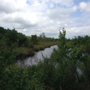 Photo #9 of SOLD property in Sailboat Rd, Shiloh, NC 441.0 acres