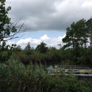 Photo #10 of SOLD property in Sailboat Rd, Shiloh, NC 441.0 acres