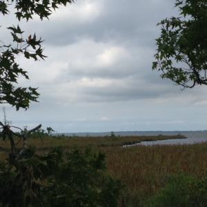 Photo #14 of SOLD property in Sailboat Rd, Shiloh, NC 441.0 acres