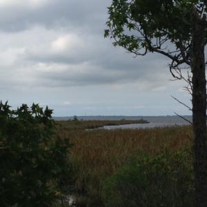 Photo #15 of SOLD property in Sailboat Rd, Shiloh, NC 441.0 acres