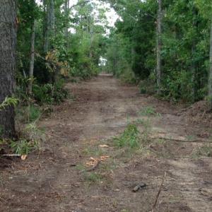 Photo #16 of SOLD property in Sailboat Rd, Shiloh, NC 441.0 acres