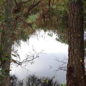 Photo #17 of SOLD property in Sailboat Rd, Shiloh, NC 441.0 acres