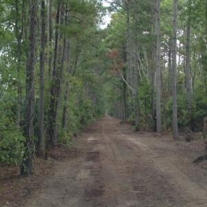 Photo #18 of SOLD property in Sailboat Rd, Shiloh, NC 441.0 acres
