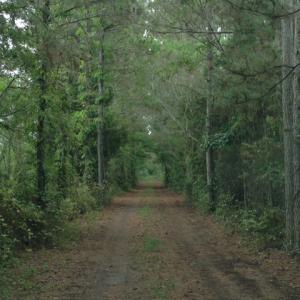 Photo #19 of SOLD property in Sailboat Rd, Shiloh, NC 441.0 acres