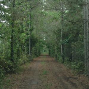 Photo #19 of SOLD property in Sailboat Rd, Shiloh, NC 441.0 acres