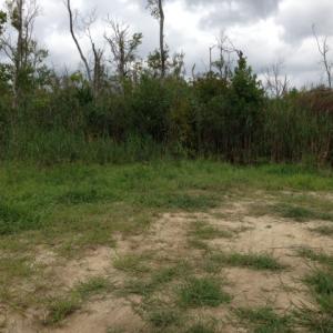 Photo #25 of SOLD property in Sailboat Rd, Shiloh, NC 441.0 acres