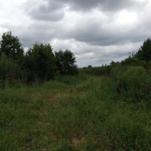 Photo #30 of SOLD property in Sailboat Rd, Shiloh, NC 441.0 acres