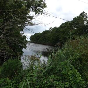 Photo #33 of SOLD property in Sailboat Rd, Shiloh, NC 441.0 acres