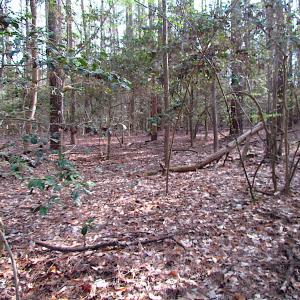 Photo #7 of SOLD property in Pineview Rd, Suffolk, VA 5.0 acres