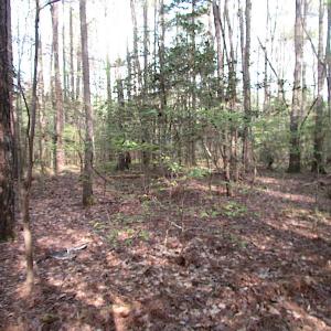 Photo #12 of SOLD property in Pineview Rd, Suffolk, VA 5.0 acres