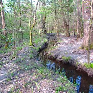 Photo #16 of SOLD property in Pineview Rd, Suffolk, VA 5.0 acres