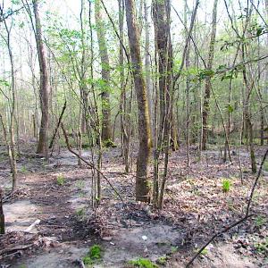 Photo #18 of SOLD property in Pineview Rd, Suffolk, VA 5.0 acres