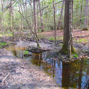 Photo #19 of SOLD property in Pineview Rd, Suffolk, VA 5.0 acres