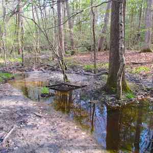 Photo #19 of SOLD property in Pineview Rd, Suffolk, VA 5.0 acres