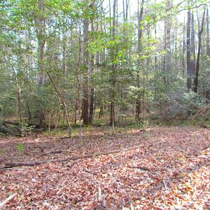 Photo #21 of SOLD property in Pineview Rd, Suffolk, VA 5.0 acres