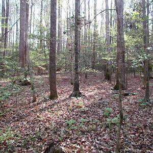 Photo #23 of SOLD property in Pineview Rd, Suffolk, VA 5.0 acres