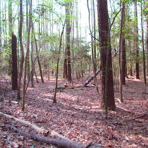 Photo #27 of SOLD property in Pineview Rd, Suffolk, VA 5.0 acres
