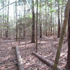 Photo #28 of SOLD property in Pineview Rd, Suffolk, VA 5.0 acres