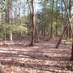 Photo #31 of SOLD property in Pineview Rd, Suffolk, VA 5.0 acres