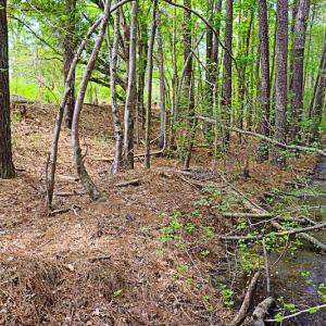 Photo #9 of SOLD property in Off Robinson Road, Morven, NC 26.7 acres