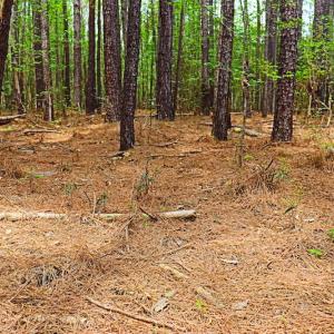 Photo #11 of SOLD property in Off Robinson Road, Morven, NC 26.7 acres