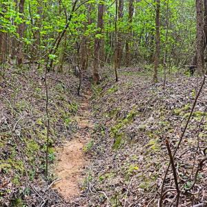 Photo #12 of SOLD property in Off Robinson Road, Morven, NC 26.7 acres