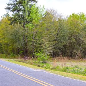 Photo #5 of SOLD property in Off Robinson Road, Morven, NC 26.7 acres