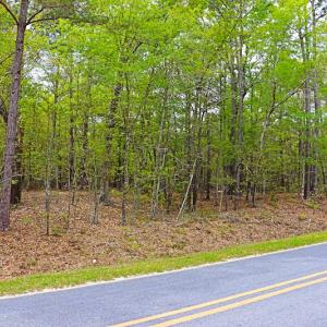Photo #6 of SOLD property in Off Robinson Road, Morven, NC 26.7 acres