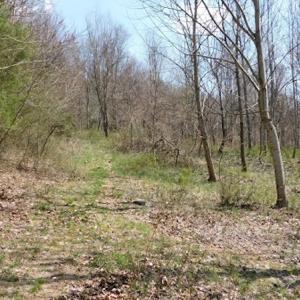 Photo #2 of US Hwy 19, Lebanon, VA 275.0 acres