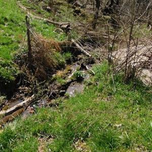 Photo #11 of US Hwy 19, Lebanon, VA 275.0 acres