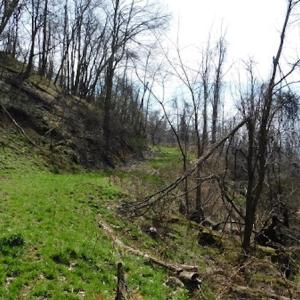 Photo #12 of US Hwy 19, Lebanon, VA 275.0 acres