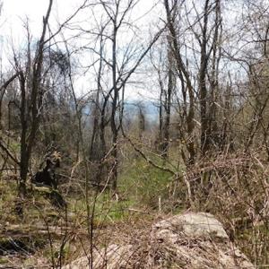 Photo #13 of US Hwy 19, Lebanon, VA 275.0 acres
