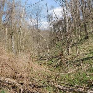 Photo #14 of US Hwy 19, Lebanon, VA 275.0 acres