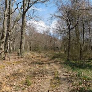 Photo #16 of US Hwy 19, Lebanon, VA 275.0 acres