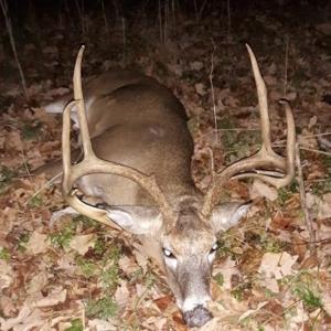 Photo #20 of US Hwy 19, Lebanon, VA 275.0 acres