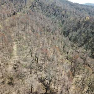 Photo #22 of US Hwy 19, Lebanon, VA 275.0 acres