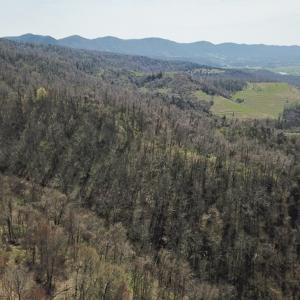 Photo #25 of US Hwy 19, Lebanon, VA 275.0 acres