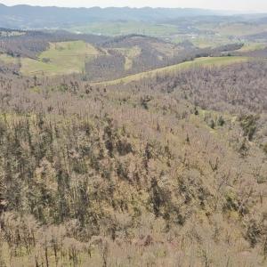 Photo #26 of US Hwy 19, Lebanon, VA 275.0 acres