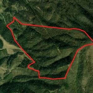 Photo #31 of US Hwy 19, Lebanon, VA 275.0 acres
