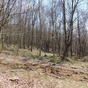 Photo #5 of US Hwy 19, Lebanon, VA 275.0 acres