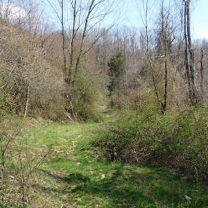 Photo #7 of US Hwy 19, Lebanon, VA 275.0 acres