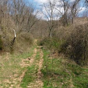Photo #8 of US Hwy 19, Lebanon, VA 275.0 acres