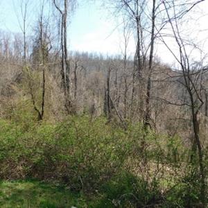 Photo #9 of US Hwy 19, Lebanon, VA 275.0 acres